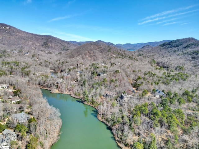 drone / aerial view featuring a wooded view and a water and mountain view