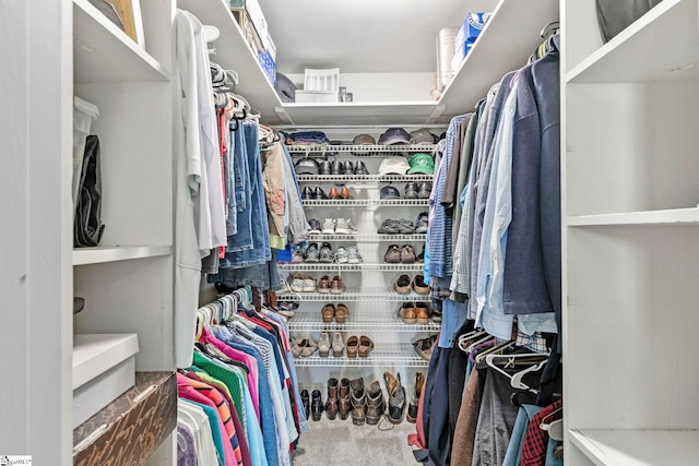 spacious closet featuring carpet flooring