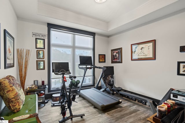 workout area with a tray ceiling, ornamental molding, and wood finished floors