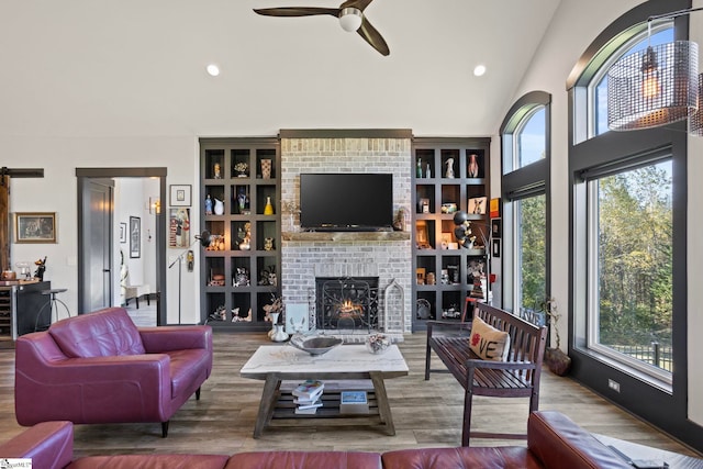 living room featuring a fireplace, wood finished floors, and a wealth of natural light