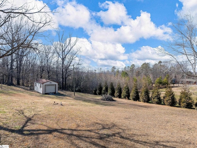 view of yard with a garage, driveway, a view of trees, and an outbuilding