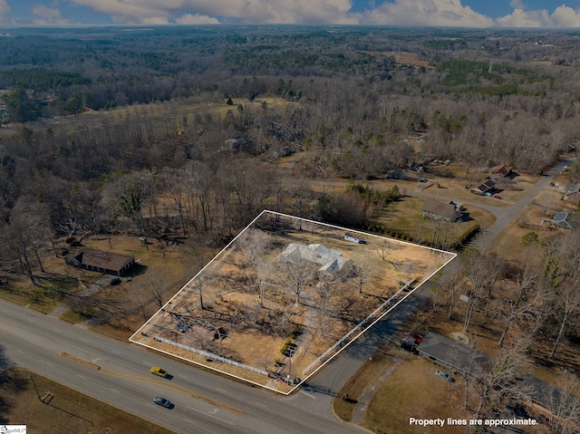 bird's eye view with a forest view