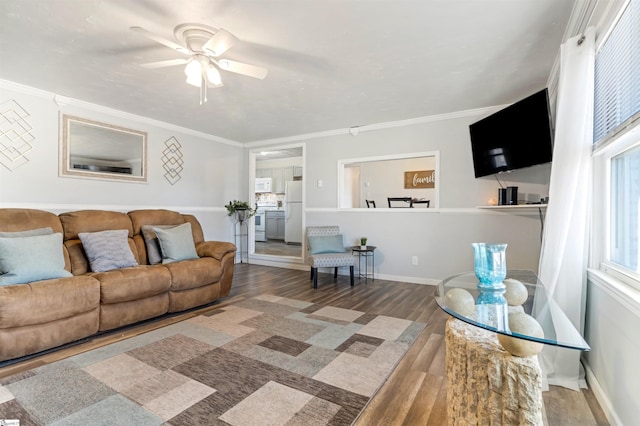 living area with ceiling fan, crown molding, baseboards, and wood finished floors