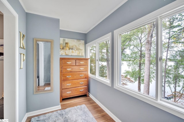 interior space featuring crown molding, baseboards, and wood finished floors