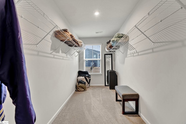 spacious closet with carpet floors and visible vents