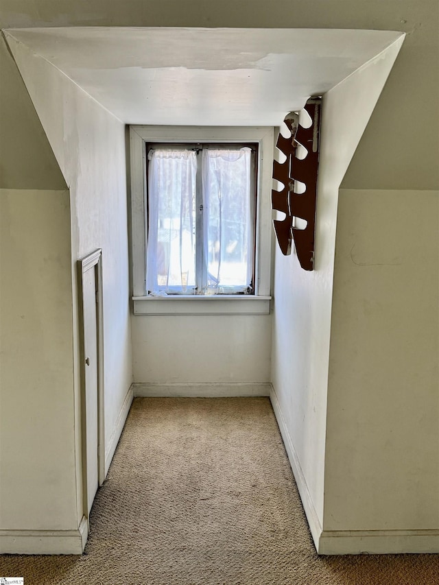 additional living space featuring carpet flooring and baseboards