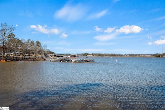 water view with a boat dock