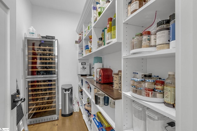 pantry featuring beverage cooler