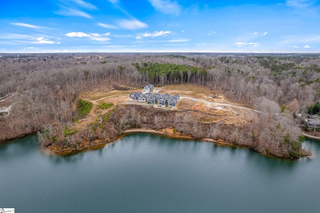 aerial view with a water view and a view of trees