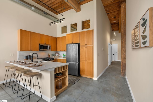 kitchen with tasteful backsplash, a towering ceiling, appliances with stainless steel finishes, a sink, and a peninsula