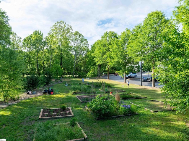 surrounding community featuring a lawn and a garden