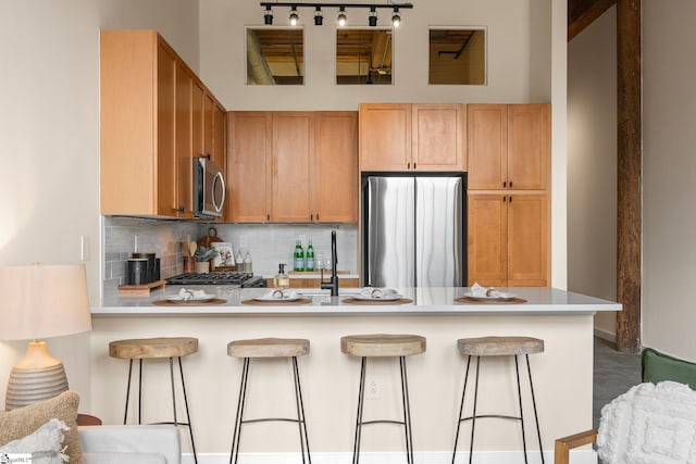 kitchen featuring stainless steel appliances, tasteful backsplash, a peninsula, and light countertops