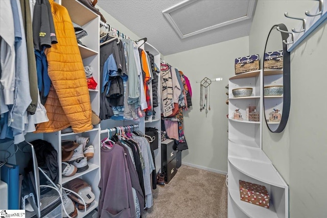 walk in closet featuring attic access and carpet floors