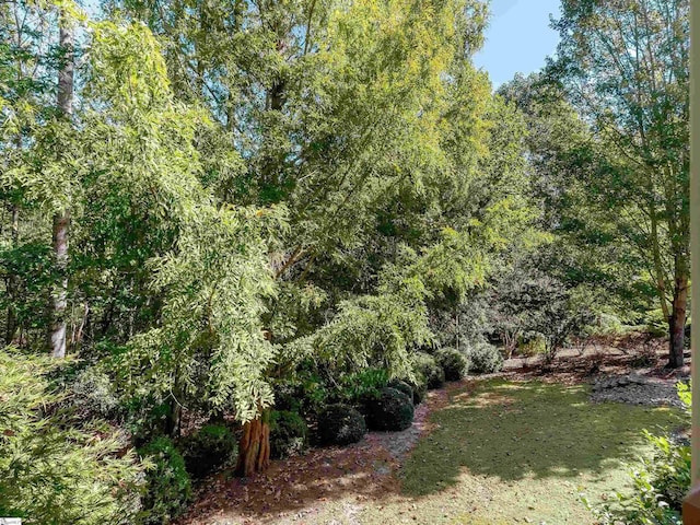 view of yard featuring a wooded view