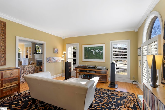 204 Waterford Ln, Greer, SC 29650 - living area featuring light wood-style floors, a lit fireplace, baseboards, and crown molding