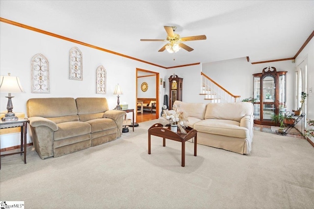 carpeted living area with stairs, crown molding, and ceiling fan