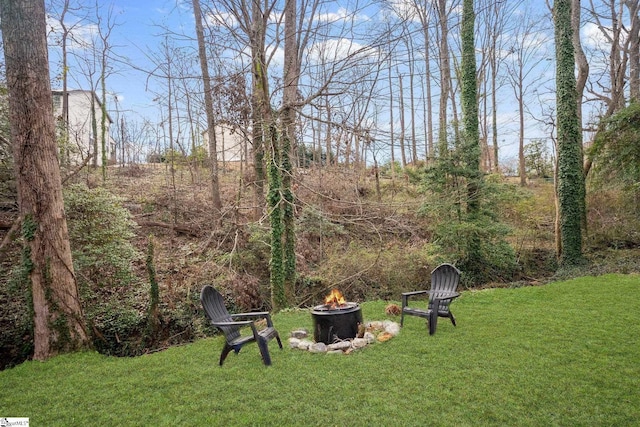 view of yard featuring an outdoor fire pit