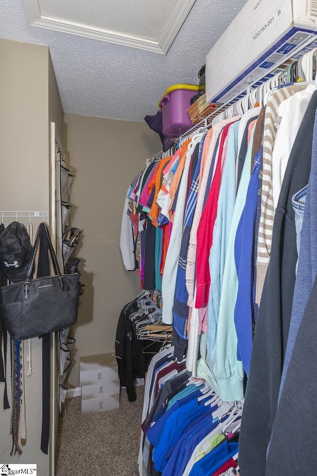 spacious closet with carpet floors