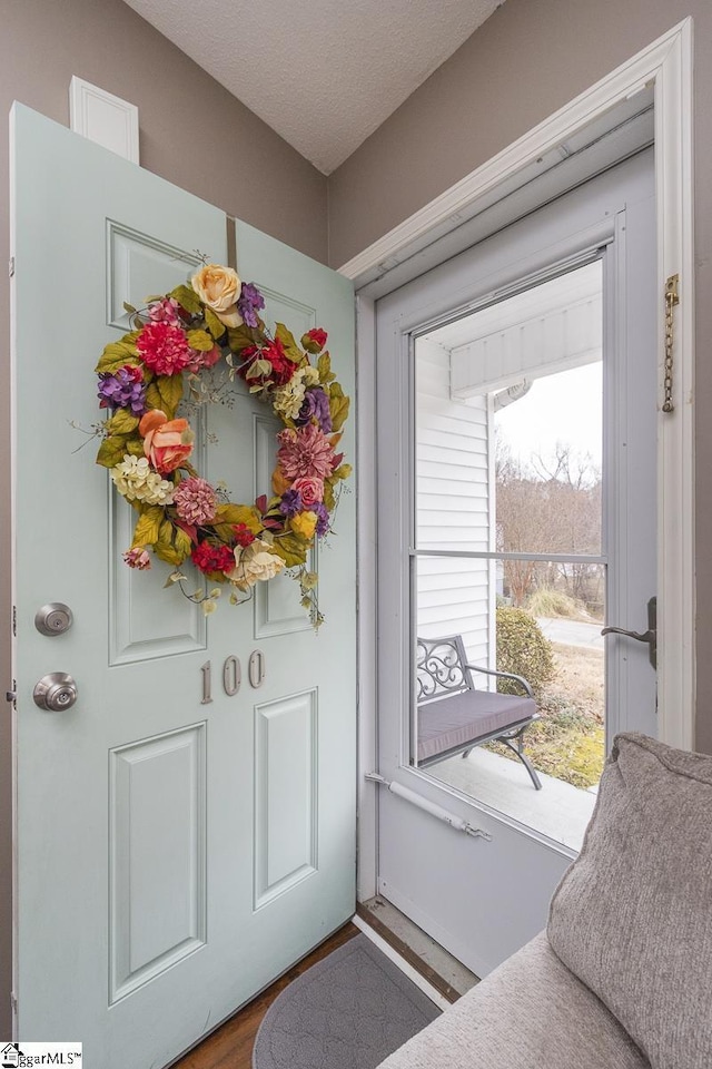 doorway with plenty of natural light