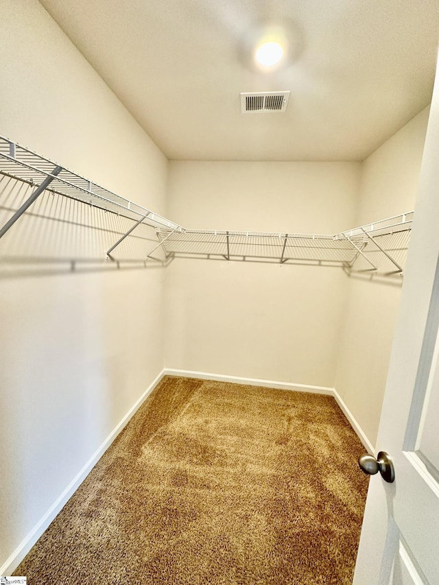 spacious closet featuring carpet floors and visible vents