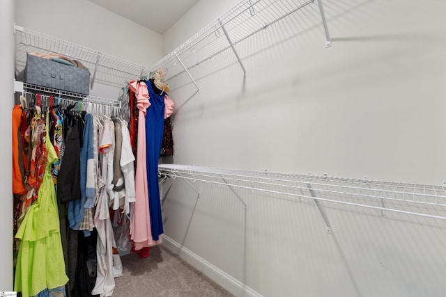 walk in closet featuring carpet