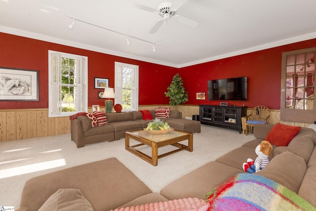 carpeted living area featuring ornamental molding, a wainscoted wall, ceiling fan, and track lighting