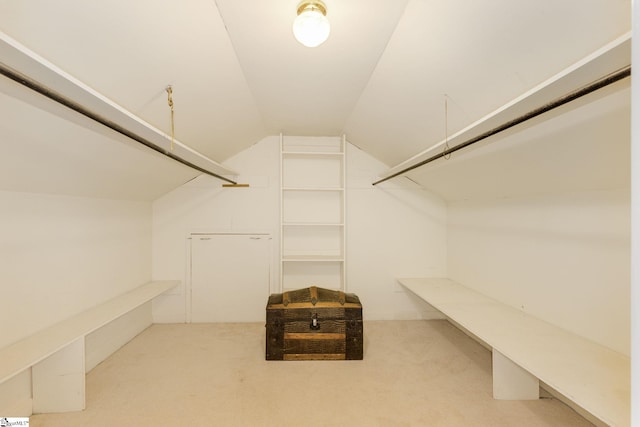 spacious closet with carpet floors and vaulted ceiling