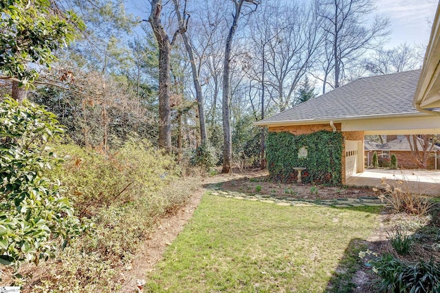 view of yard featuring driveway