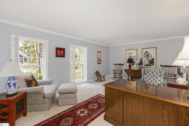 office featuring carpet flooring, crown molding, and baseboards