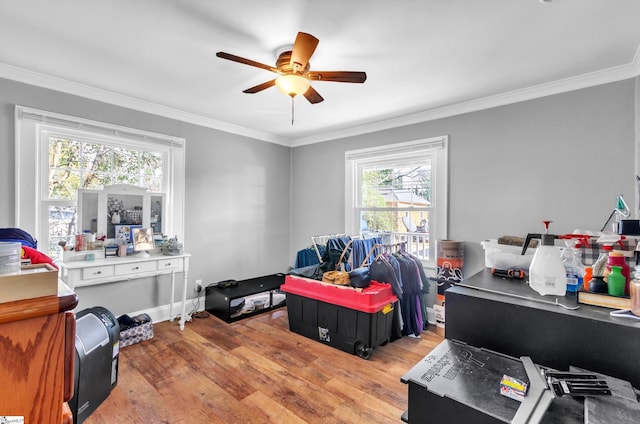 interior space with crown molding, ceiling fan, and wood finished floors