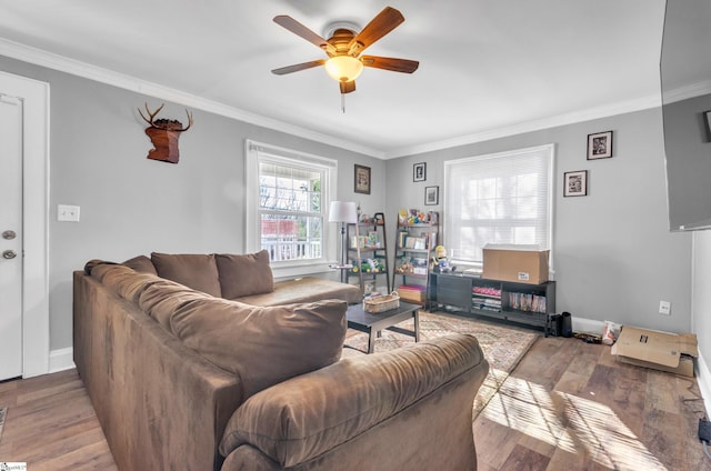 living area featuring ornamental molding, baseboards, and wood finished floors