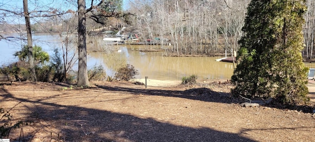 144 Amber Dr, Inman, SC 29349 - view of water feature