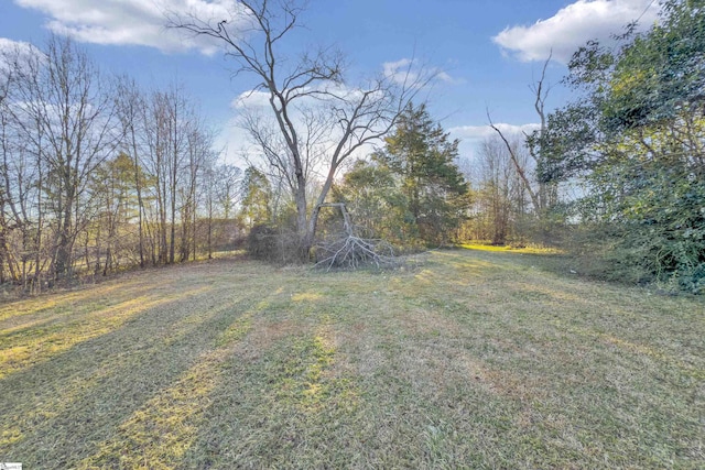 view of yard with driveway