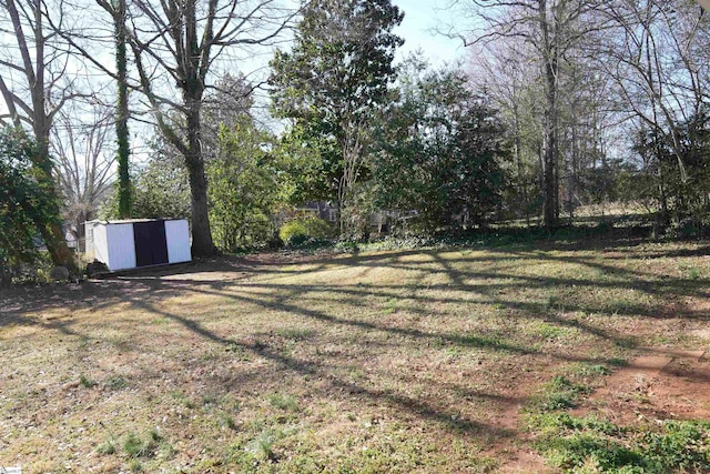 view of yard with a storage shed and an outdoor structure