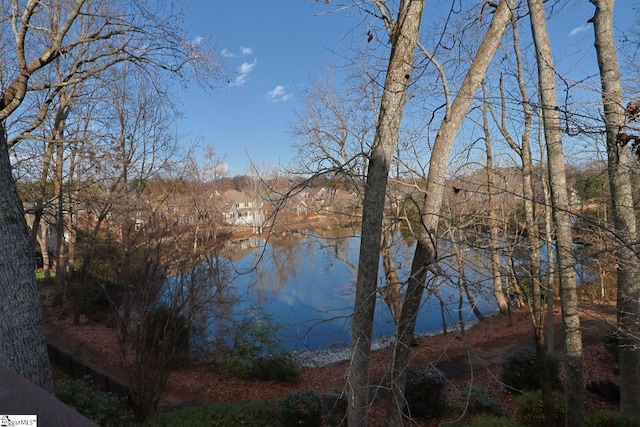 view of water feature