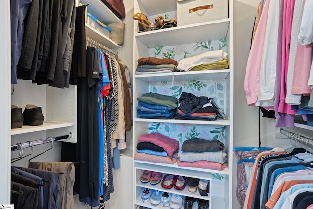 view of spacious closet