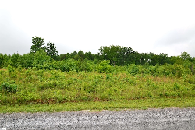 1647 Christopher Rd, Campobello SC, 29322 land for sale