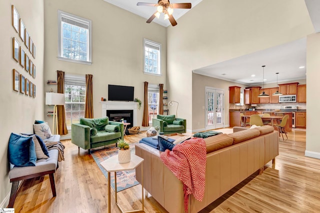 621 Shefwood Dr, Easley, SC 29642 - living area with light wood-style floors, a healthy amount of sunlight, and a fireplace