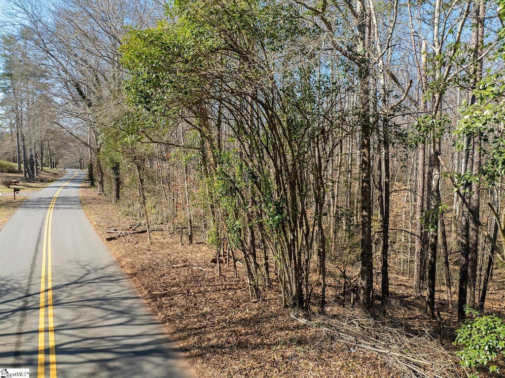 00A Rices Creek Church Rd, Liberty, SC 29657