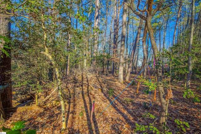 view of nature featuring a forest view