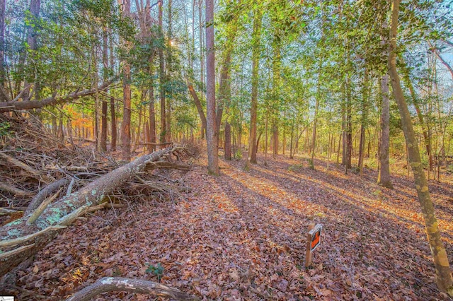 view of nature featuring a forest view