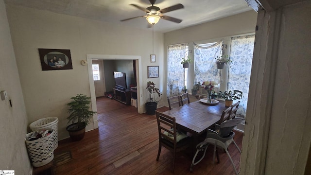 dining room featuring a wealth of natural light, ceiling fan, and wood finished floors