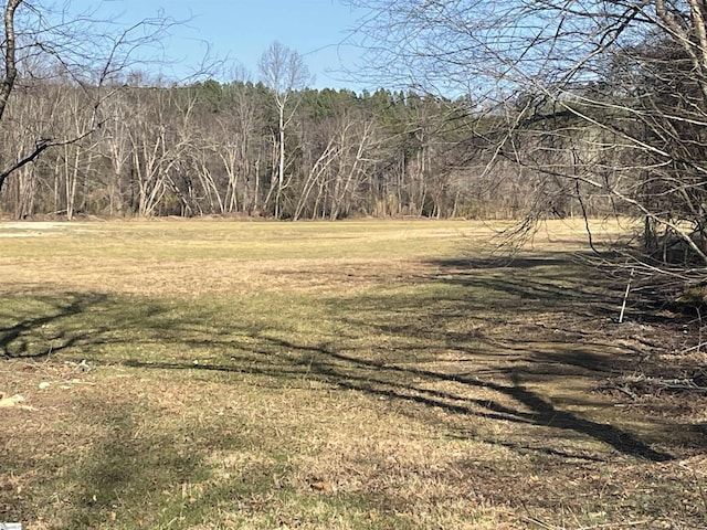 view of local wilderness