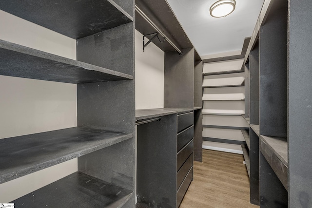 walk in closet with light wood-type flooring