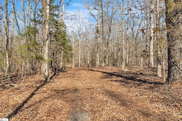 view of landscape featuring a wooded view