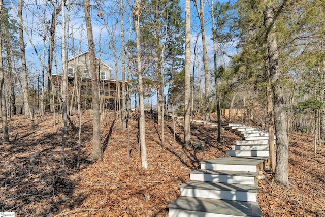 view of yard with stairs