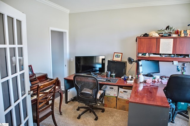 office area featuring crown molding and carpet flooring