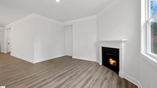 1807 Wabash Pl Lot 0507, Boiling Springs, SC 29316 - unfurnished living room featuring a warm lit fireplace, wood finished floors, baseboards, and ornamental molding
