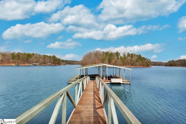 dock area with a water view