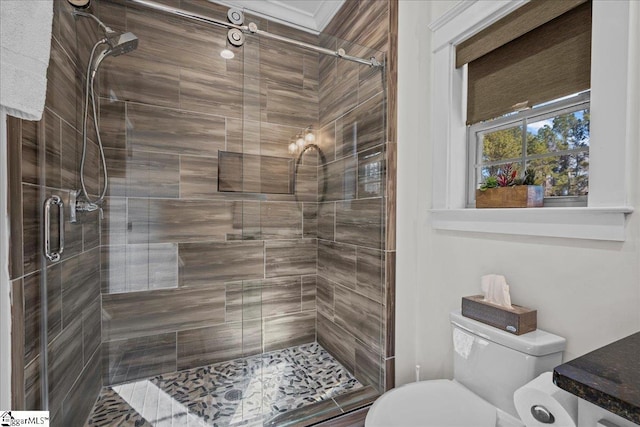 full bath with a shower stall and toilet